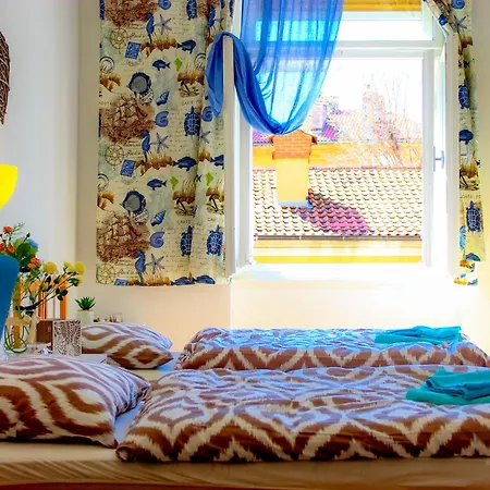 Guest house Fluminis *